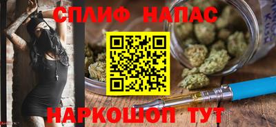 apvp Нальчик