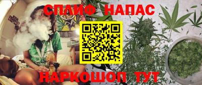 apvp Нальчик