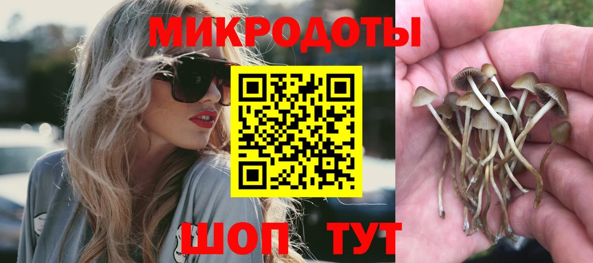 Псилоцибиновые грибы ЛСД Соль-Илецк